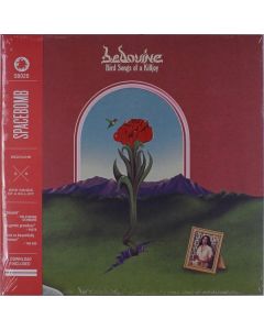 Bedouine - Bird Songs Of A Killjoy (Black Vinyl) LP