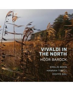 Antonio Vivaldi (1678-1741) - Verschiedene Konzerte - "Vivaldi in the North" CD