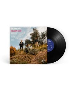 Thee Sacred Souls - Got A Story To Tell LP