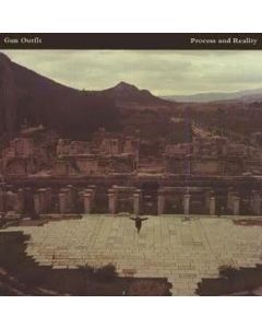 Gun Outfit - Process And Reality LP