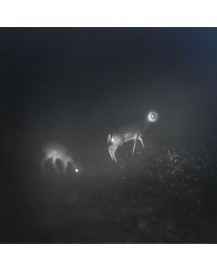 Bliss Signal - Bliss Signal, Mumdance, Wife  (Limited-Edition) LP