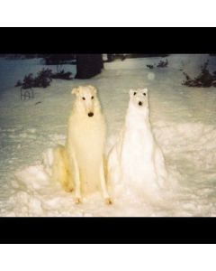 Birth Day - Boyhood (Limited Edition) (Ultra Clear W/ Yellow Splatter Vinyl) LP