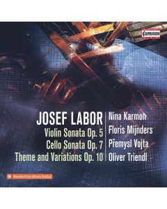 Josef Labor (1842-1924) - Violinsonate Nr.1 d-moll op.5 CD