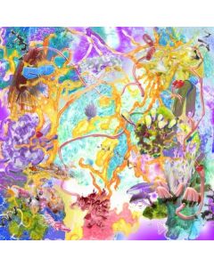 Amatorski - Curves and Bends, Things Veer CD