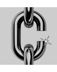 Civic - Chrome Dipped CD