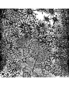 Spirit Fest - Anohito CD