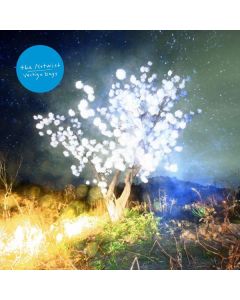 The Notwist - Vertigo Days CD