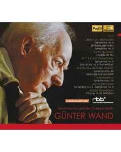 Günter Wand & das Deutsche Symphonie-Orchester Berlin (Rundfunk-Aufnahmen) CD