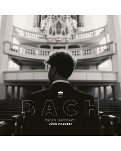 Johann Sebastian Bach (1685-1750) - Orgelwerke (180g) LP