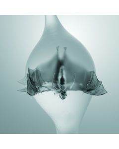 Unprocessed - Angel CD