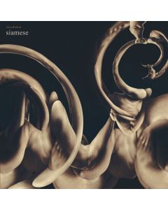 Siamese - Dissolution (Gold Metallic Vinyl) LP
