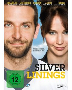 Silver Linings DVD