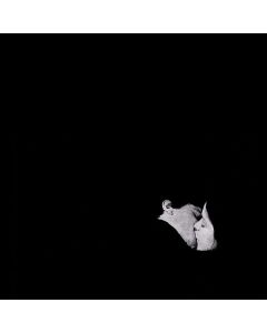 Bob Moses (Elektronik Duo) - Days Gone By (180g) LP