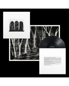 These New Puritans - Crooked Wing LP
