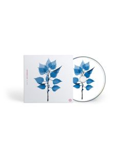 Matt Berninger - Get Sunk CD