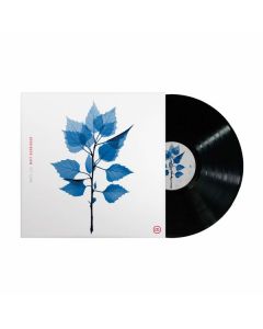 Matt Berninger - Get Sunk LP