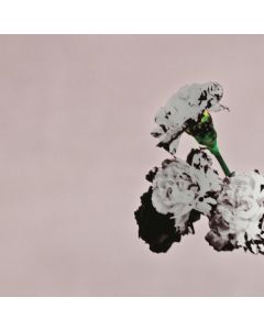 John Legend - Love In The Future (Special Edition) CD