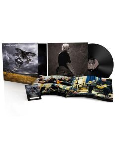 David Gilmour - Rattle That Lock (180g) LP
