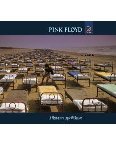 Pink Floyd - Momentary Lapse Of Reason CD