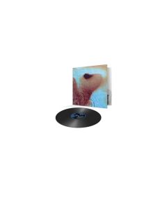 Pink Floyd - Meddle (remastered) (180g) LP