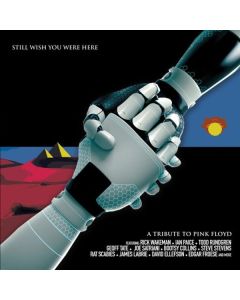 Still Wish You Were Here: A Tribute To Pink Floyd CD