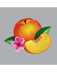 Phoenix - Bankrupt! CD