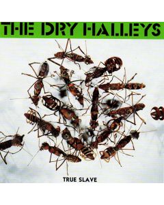 The Dry Halleys • True Slave CD