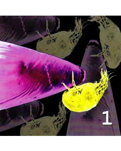 Industrial Hazard (One) CD