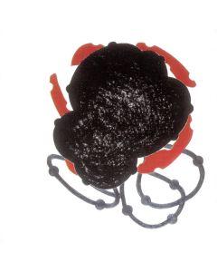 Paul Termos (1952-2003) • Termos Sessions Vol. II CD