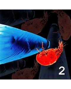 Industrial Hazard (Two) CD