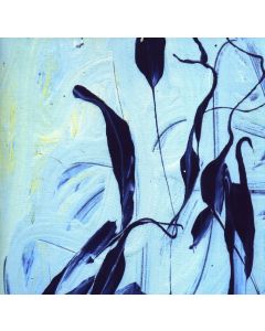 Seems sometimes People undergo full Transformation CD