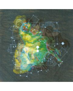 Steve Fisk • 999 Levels of Undo CD