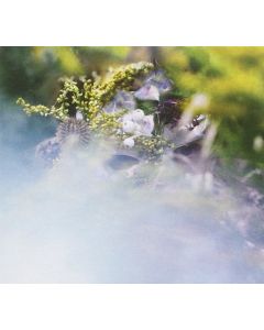 bEEdEEgEE • SUM/ONE CD