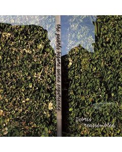 The Pearls Before Swine Experience - Debris Reassembled CD