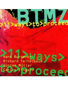 BTMZ • 11 Ways to proceed CD
