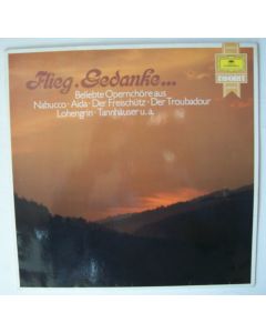 Flieg, Gedanke... LP