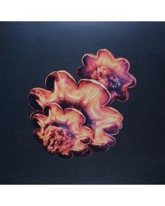 Robots don't sleep EP 10"