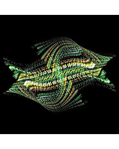 Bogus Order • Zen Brakes Vol. 2 CD