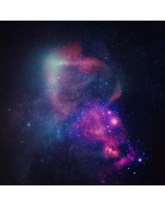 Roseaux - Roseaux III CD