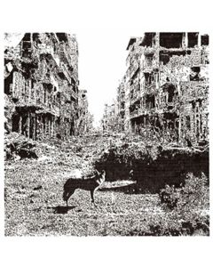 Vox Low - Keep On Falling LP