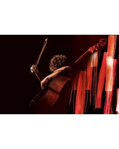 Renaud Garcia-Fons - Le Souffle Des Cordes (The Breath Of Strings) CD