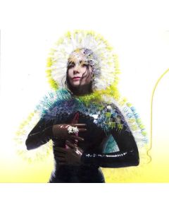 Björk - Vulnicura CD