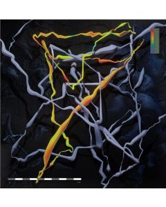 Folly Group - Down There CD