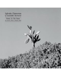 Sylvain Chauveau - Down To The Bone (An Acoustic Tribute To Depeche Mode) LP