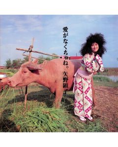 Akiko Yano - Ai Ga Nakucha Ne CD