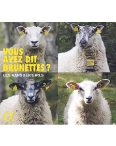 Vous avez dit Brunettes? - Französische Lieder des 17.& 18.Jahrhunderts CD