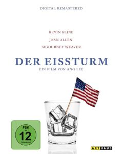 Der Eissturm DVD