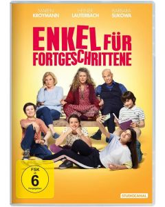 Enkel für Fortgeschrittene DVD