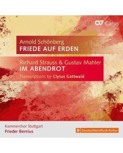 Kammerchor Stuttgart  - Friede auf Erden / Im Abendrot CD