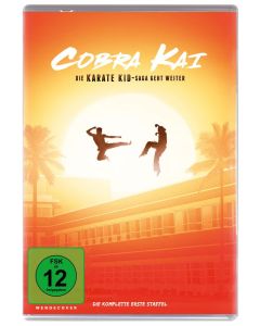 Cobra Kai Staffel 1 DVD